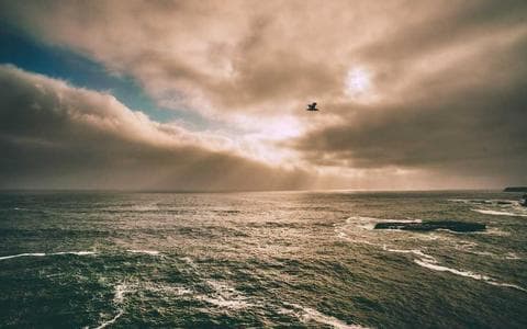 Creative professional presenting portfolio on phone