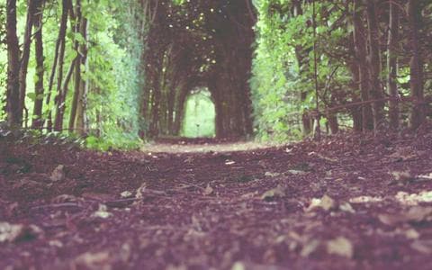 Professional networking at a business meeting